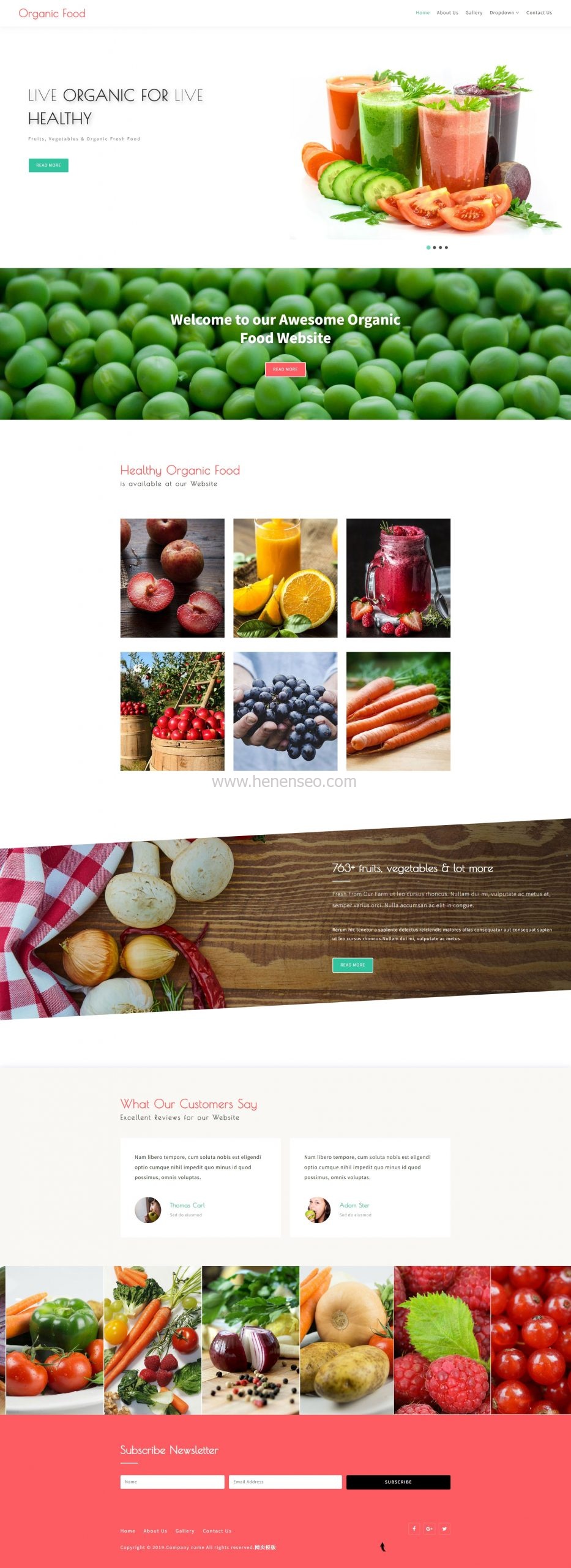 html5健康有机蔬菜果汁店网站模板-新起点博客