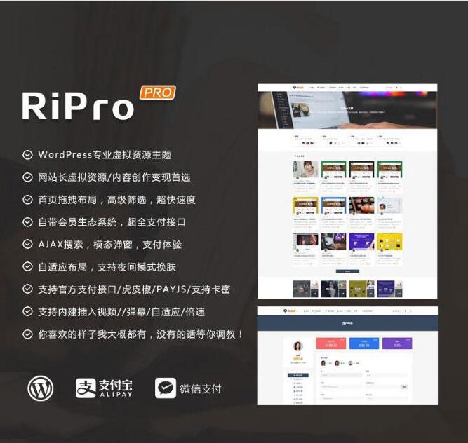 WordPress主题:RiPro主题资源站破解版-新起点博客