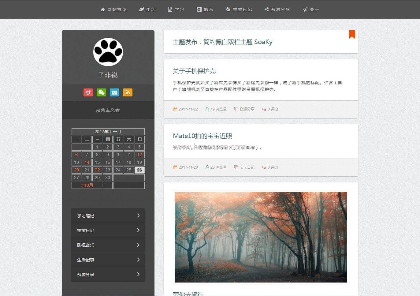 WordPress简约双栏博客经典主题免费下载SoaKy V1.5-新起点博客